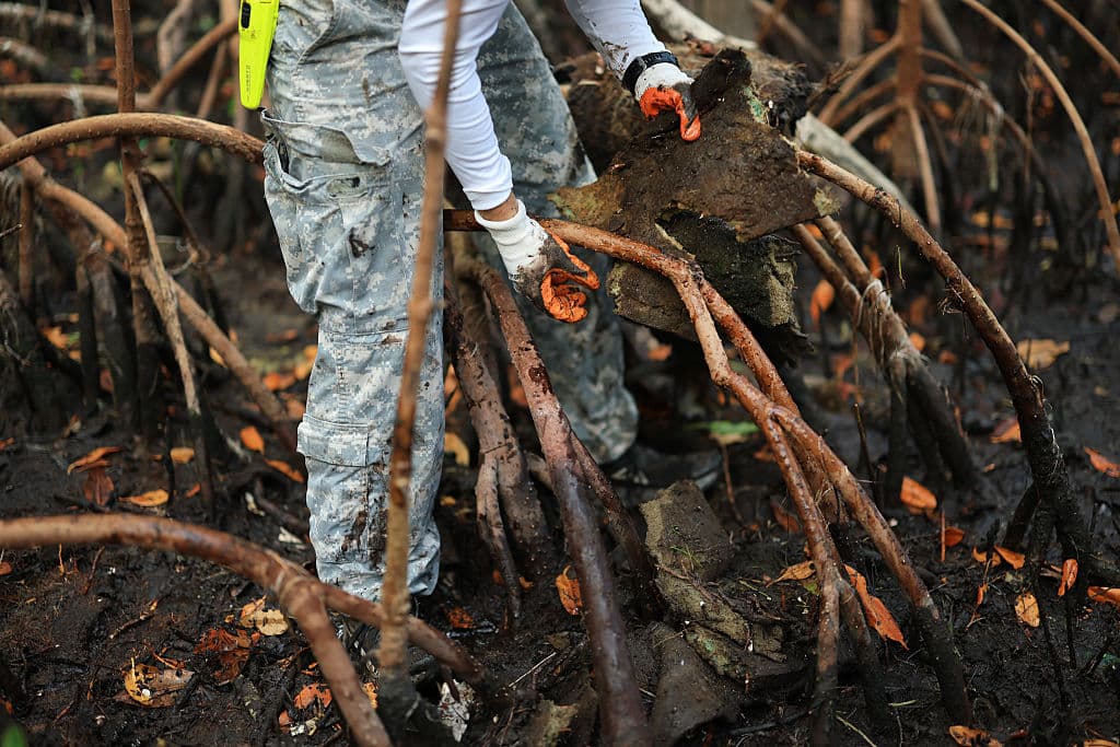 Otazo extrae un trozo de espuma de un cojín de un manglar en Virginia Key.