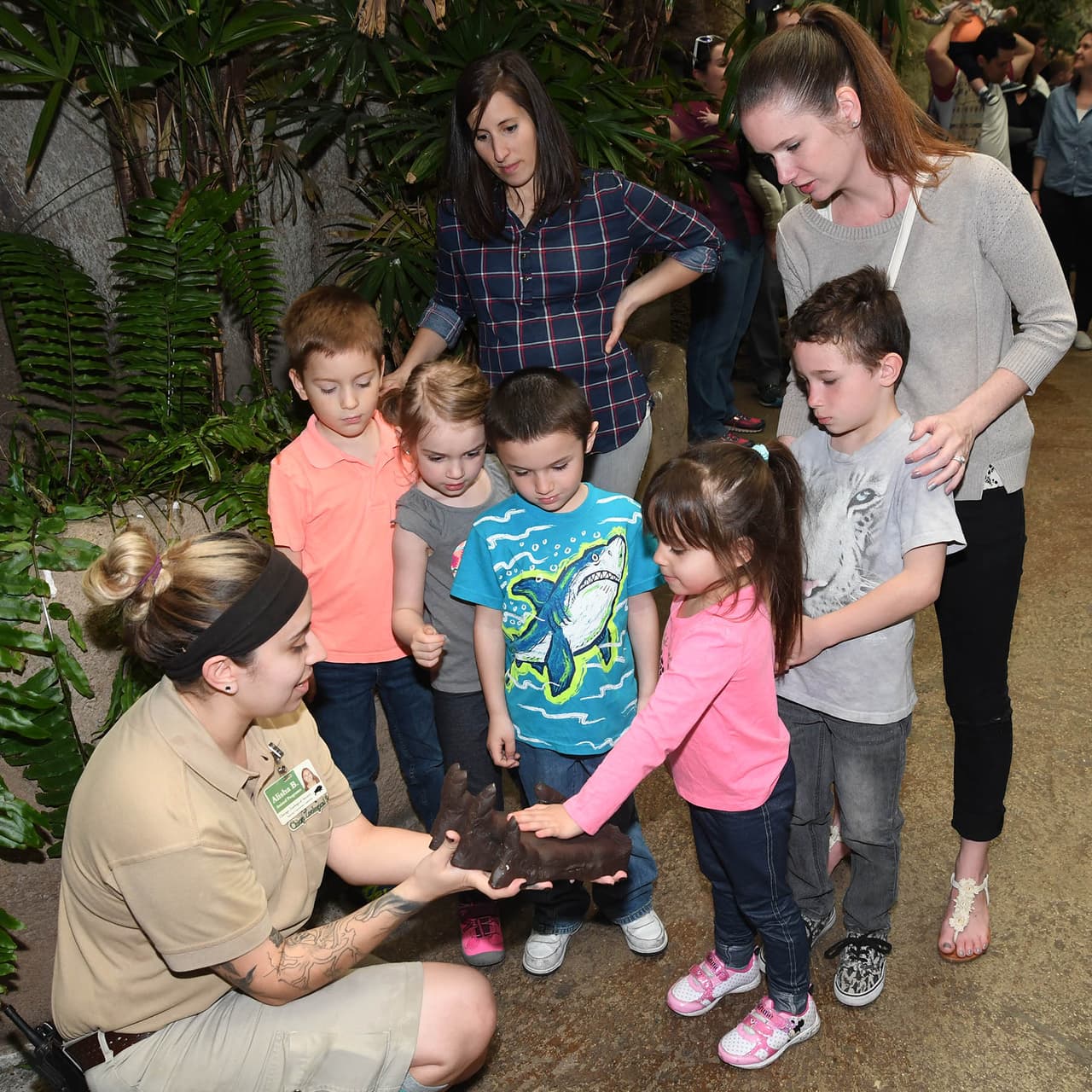 Las actividades especiales comenzarán a las 11:00 AM, donde los asistentes serán introducidos con los animales embajadores del zoológico. De nuevo a las 2:00 PM, se podrá conocer a otros animales embajadores.