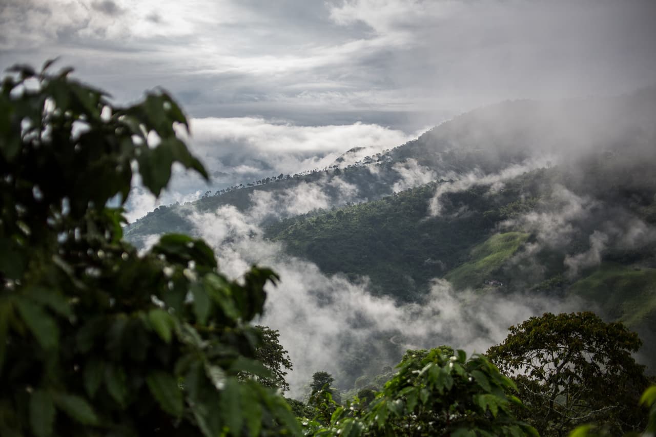 Montañas cafeteras de Santuario. En la zona se cultivan granos de café colombiano para la exportación.