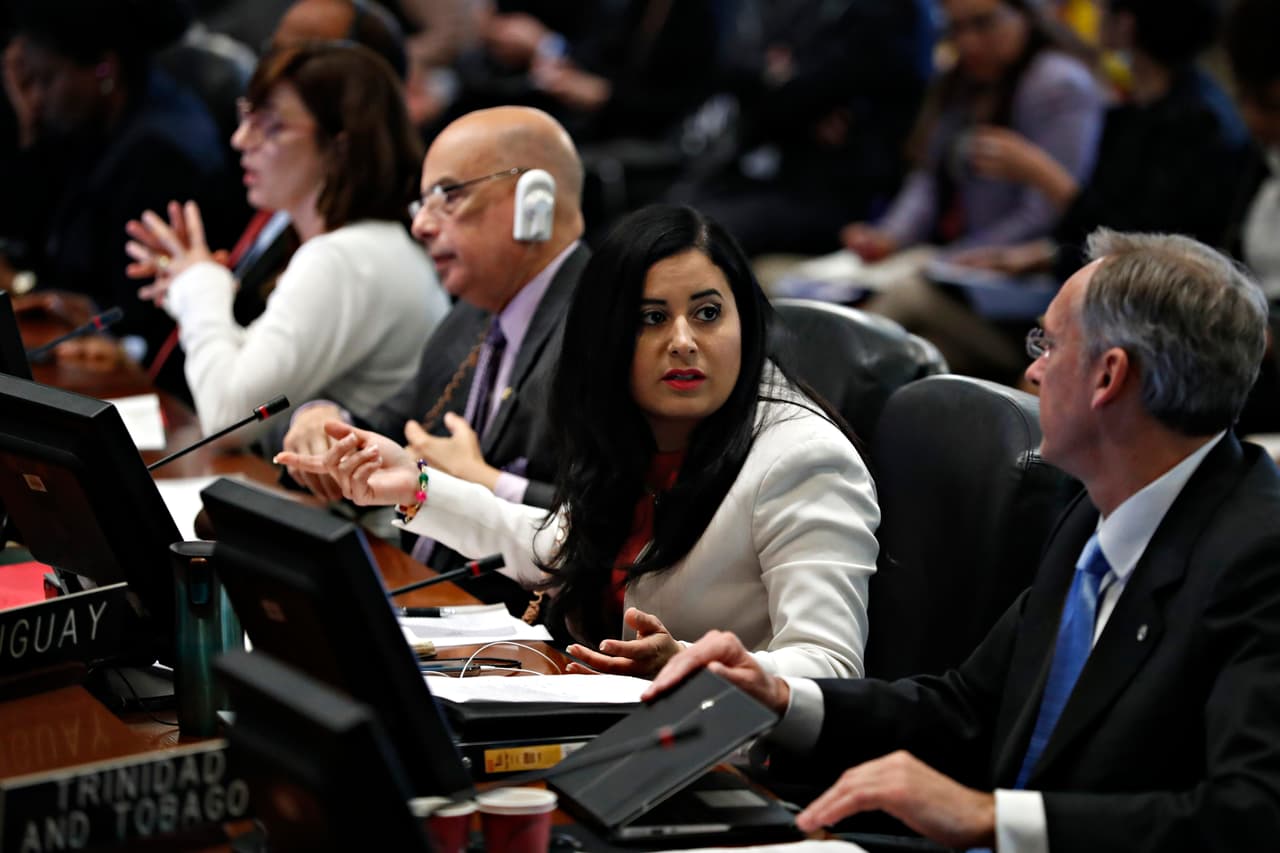 Asbina Marin, una de las delegadas de Maduro que ya no es reconocida como representante diplomática ante el consejo permanente de la OEA.