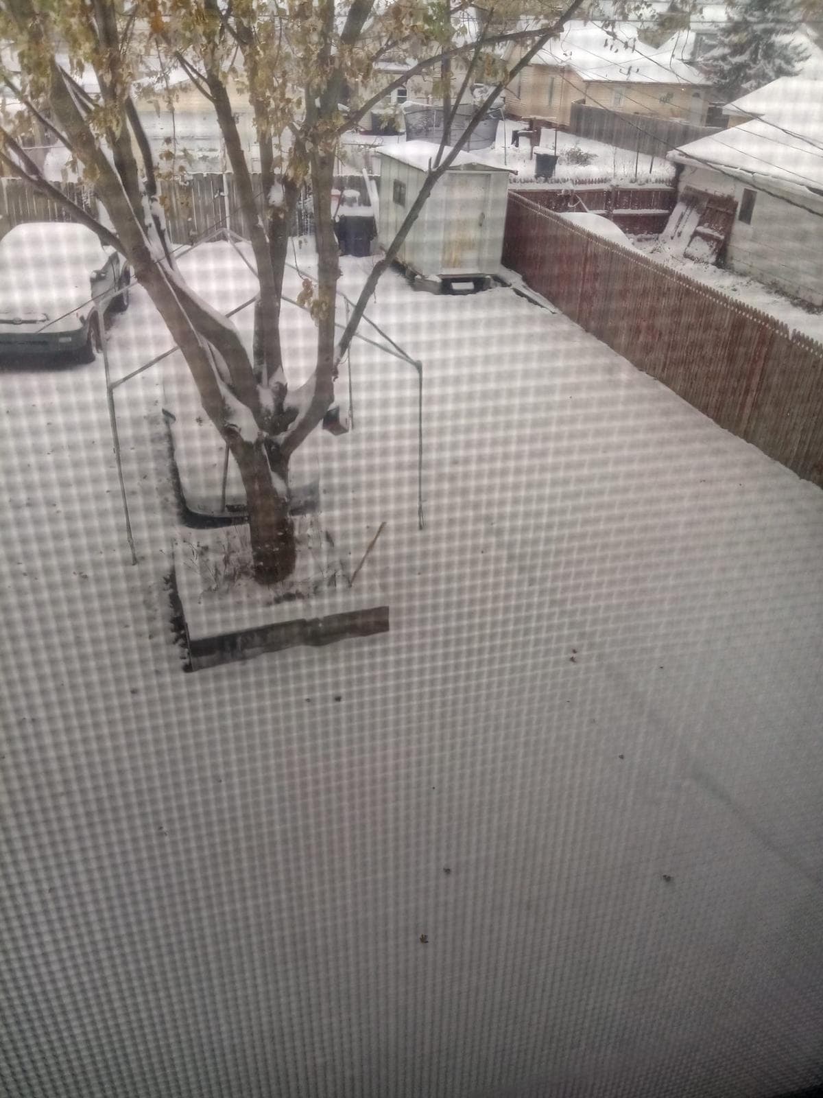 <b>South Bend</b>
<b>| </b>En zonas cercanas a Dallas se reportó hielo y nieve.