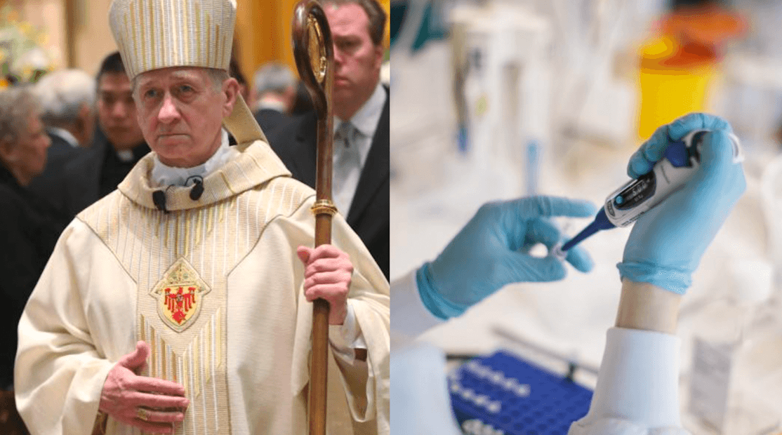 "Animo a todos a que se vacunen contra el coronavirus", dijo el arzobispo de Chicago