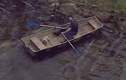 <b>8. Gracias a un héroe hispano, un perro ciego recibió una segunda oportunidad de vida en Miami Gardens</b>
<br>
<br>Luis Pérez vio a un perrillo ahogándose en un lago de Miami Gardens y sin pensárselo dos veces, "como haría cualquiera", utilizó un bote para rescatar al pequeño Boston que se había escapado de su casa.