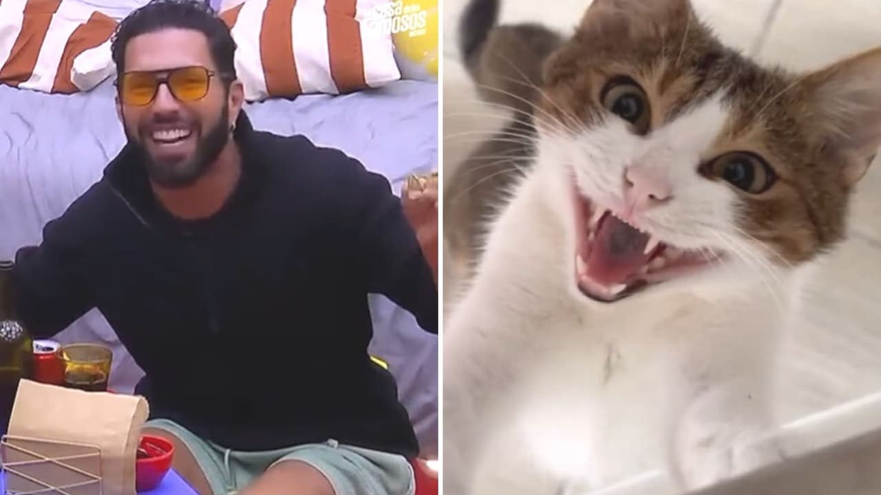 Mascotas "se ríen" como Poncho de Nigris en nuevo trend de TikTok y se hace viral: te explicamos