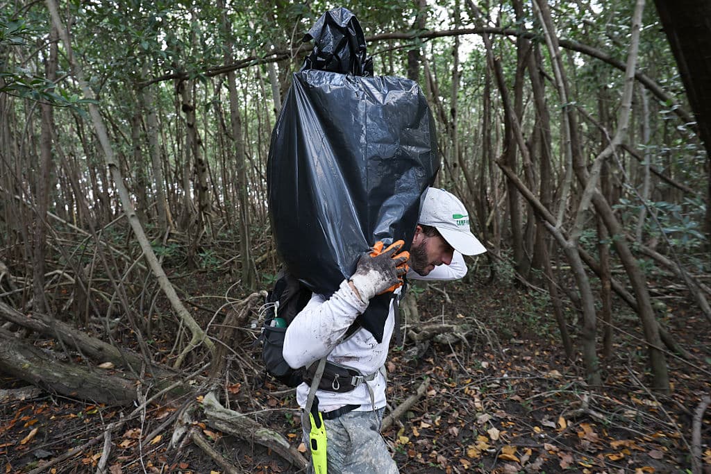 Otazo hace un trabajo solitario y paciente.