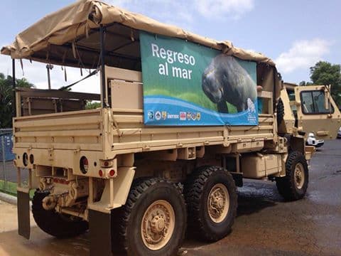 Para el proyecto 'Regreso al Mar" se utilizarán camiones de la Guardia Nacional.