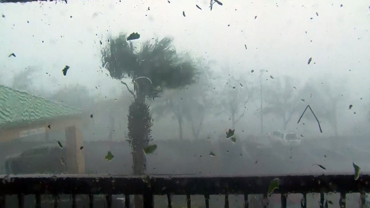 Los vientos de hasta 155 millas por hora azotaron los árboles y construcciones en Panama City Beach, a unas 30 millas al oeste de Panama City en Florida.