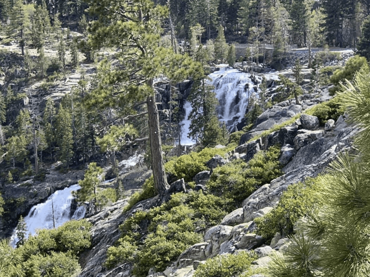 Muere mujer al caer de una cascada de 150 pies de altura mientras intentaba tomar una foto