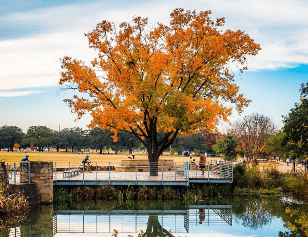<a href="https://www.austintexas.org/listings/ann-and-roy-butler-hike-and-bike-trail-and-boardwalk-at-lady-bird-lake/4369/">The Ann and Roy Butler Hike and Bike Trail - </a>Senderismo cerca de Austin