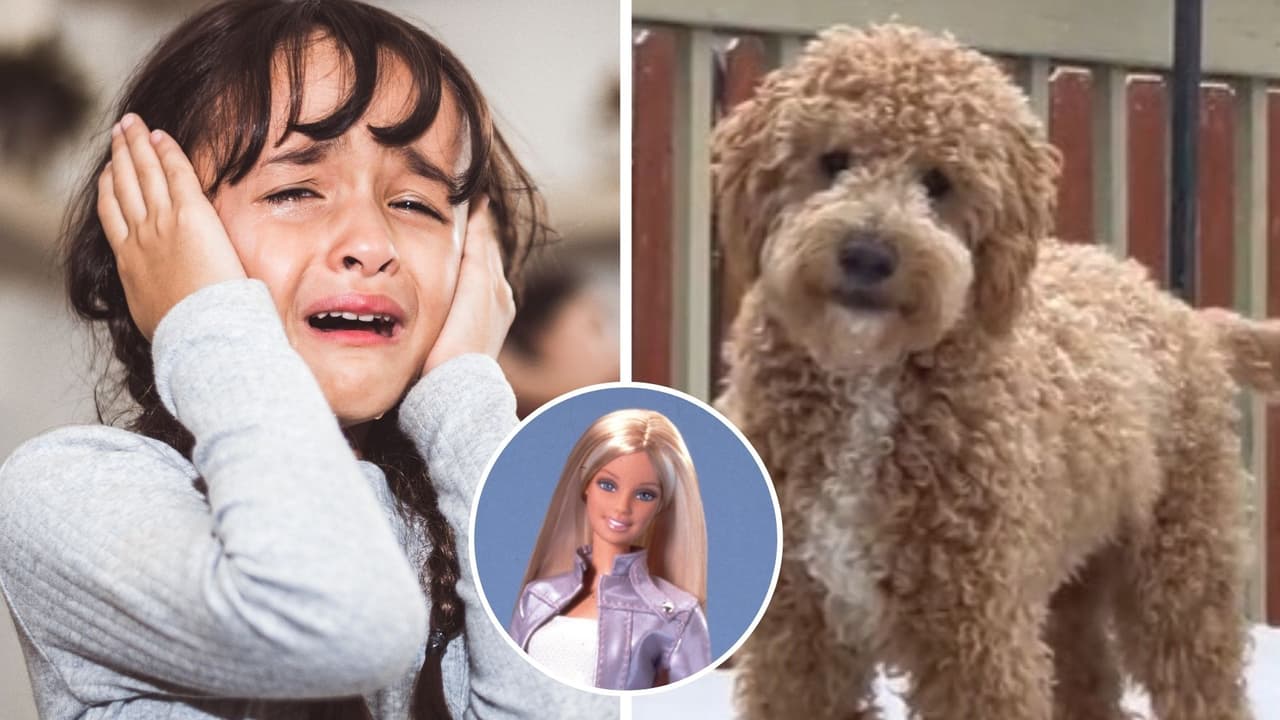 ¡Eres un monstruo!: Niña reclama a su perrito por romper su muñeca y se hace viral