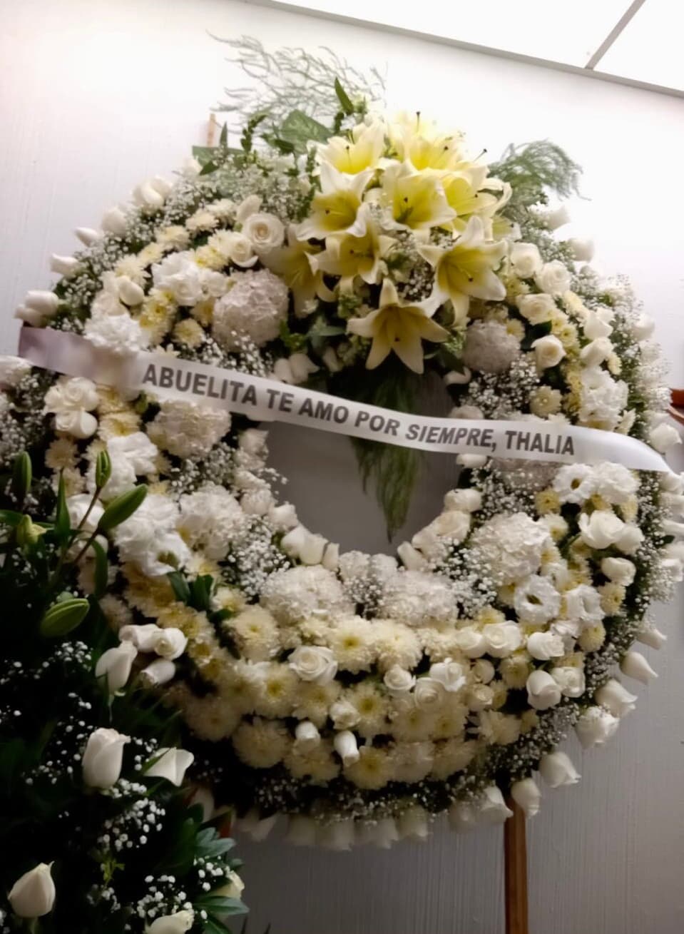 "Así me la pasé todos los cumpleaños; nunca le faltaron a doña Eva ni flores ni regalos, siempre se los mandaba Thalía y
<b>yo era la mensajera</b>... es más, mi hermana Marilé escogía las flores".
<br>