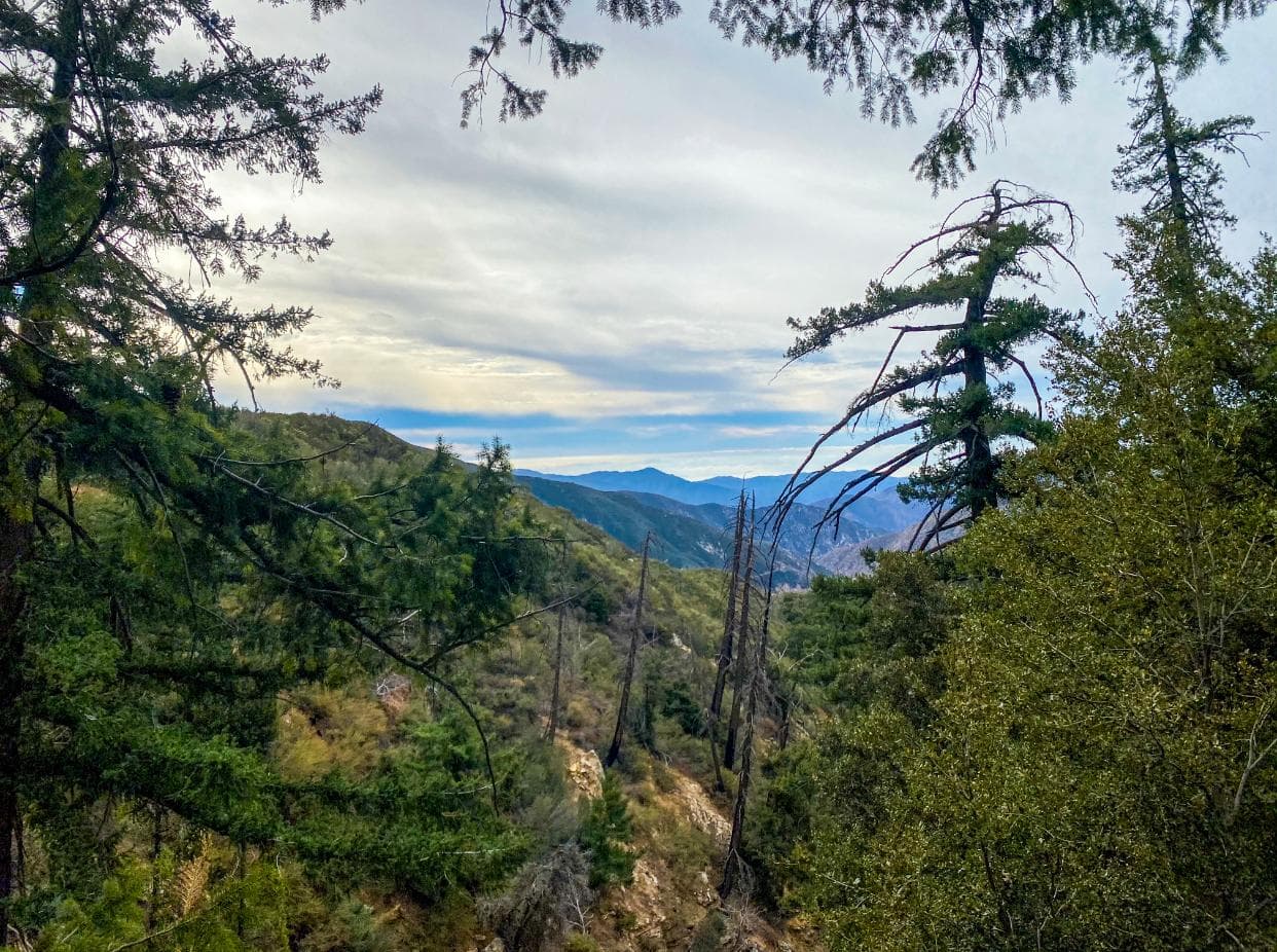 Desde rutas familiares que puedes recorrer incluso con niños, otras de mediana intensidad y las más exigentes para expertos.
<br>
<br>