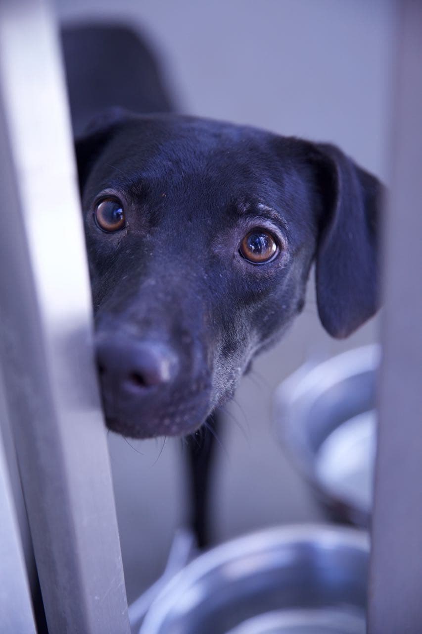 Robert Bustamante Flores fue arrestado bajo cargos por robo y se le fijó una fianza de 30,000 dólares.