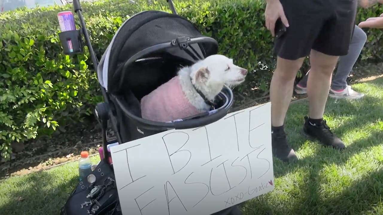 Goatie acompañó a un joven ciudadano que protestaba por sus padres, ambos inmigrantes.