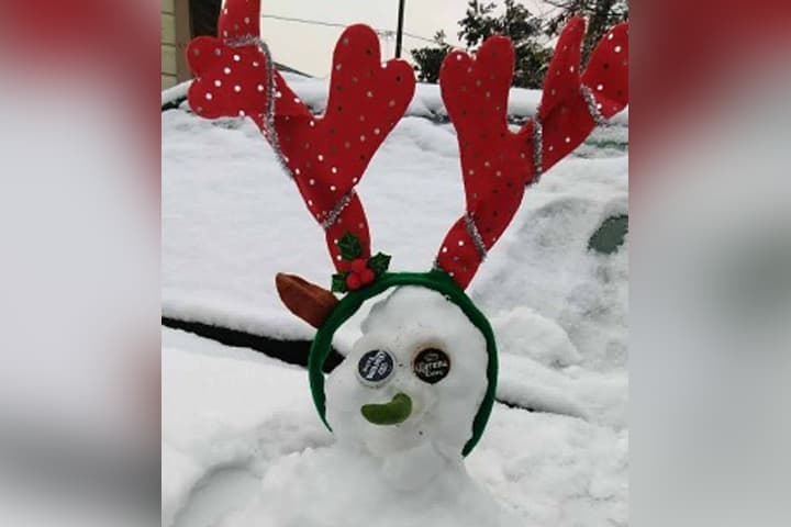 Muchos aprovecharon el raro evento para tomarse fotos, jugar con la nieve y construir el tradicional muñeco navideño.