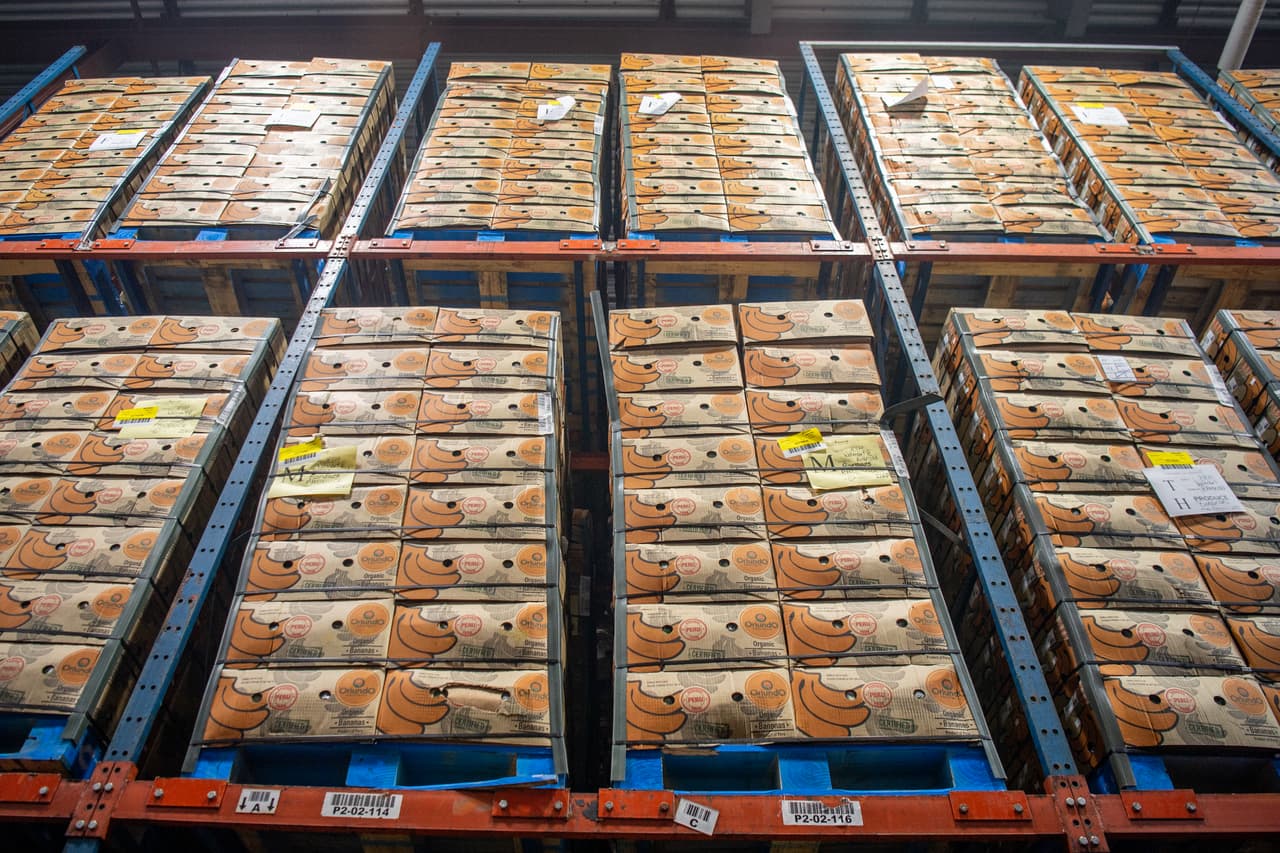 <b>¿Quién puede optar a la ayuda alimentaria del Programa Senior Box CSFP del USDA?</b>
<br>
<br>- Residentes de los siguientes condados: Harris, Montgomery, Galveston, Brazoria, Waller, Walker, Chambers, Liberty, Fort Bend.
<br>
<br>- Personas mayores de 60 años.
<br>
<br>- Personas mayores con ingresos familiares que no superen las siguientes directrices: 1. Los ingresos totales de un hogar de 1 persona no deben superar los 1.580 dólares. 2. Los ingresos totales de un hogar de 2 personas no deben superar los 2.137 dólares.
<br>