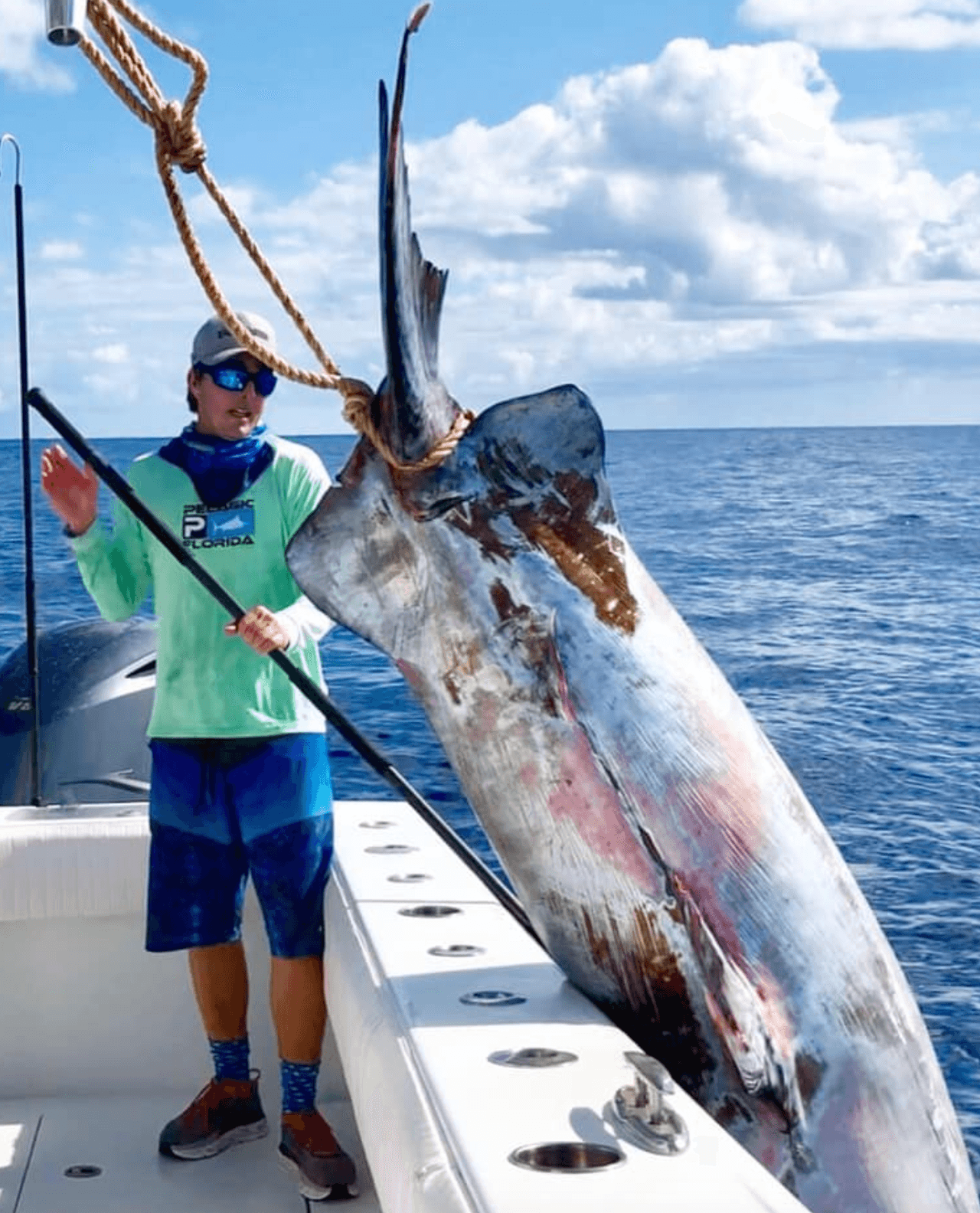 Los peces espada tienen resistencia como ningún otro pez, dijo Nickl ¡Son gladiadores!