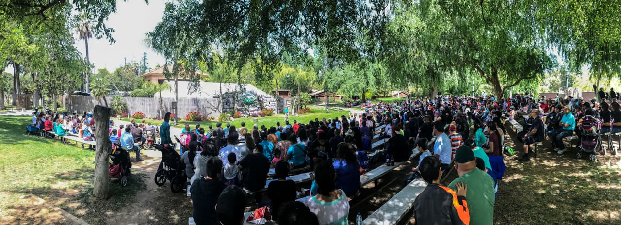 El show de aves fue uno de los favoritos durante el Festival de los Niños 2017