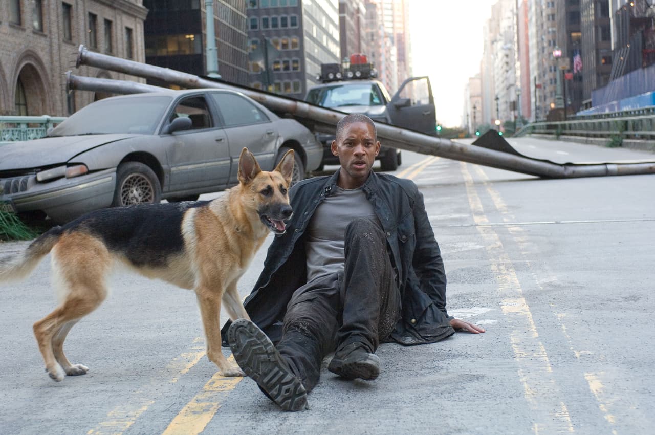 <b>Robert Neville a Samantha</b>
<br>En la película ‘I am Legend’ (2007) pasamos la mayor parte de la cinta solo con el doctor Robert Neville (Will Smith) y su perra de raza Pastor Alemán llamada Samantha, la cual es el único recuerdo que le queda de su hija y esposa.