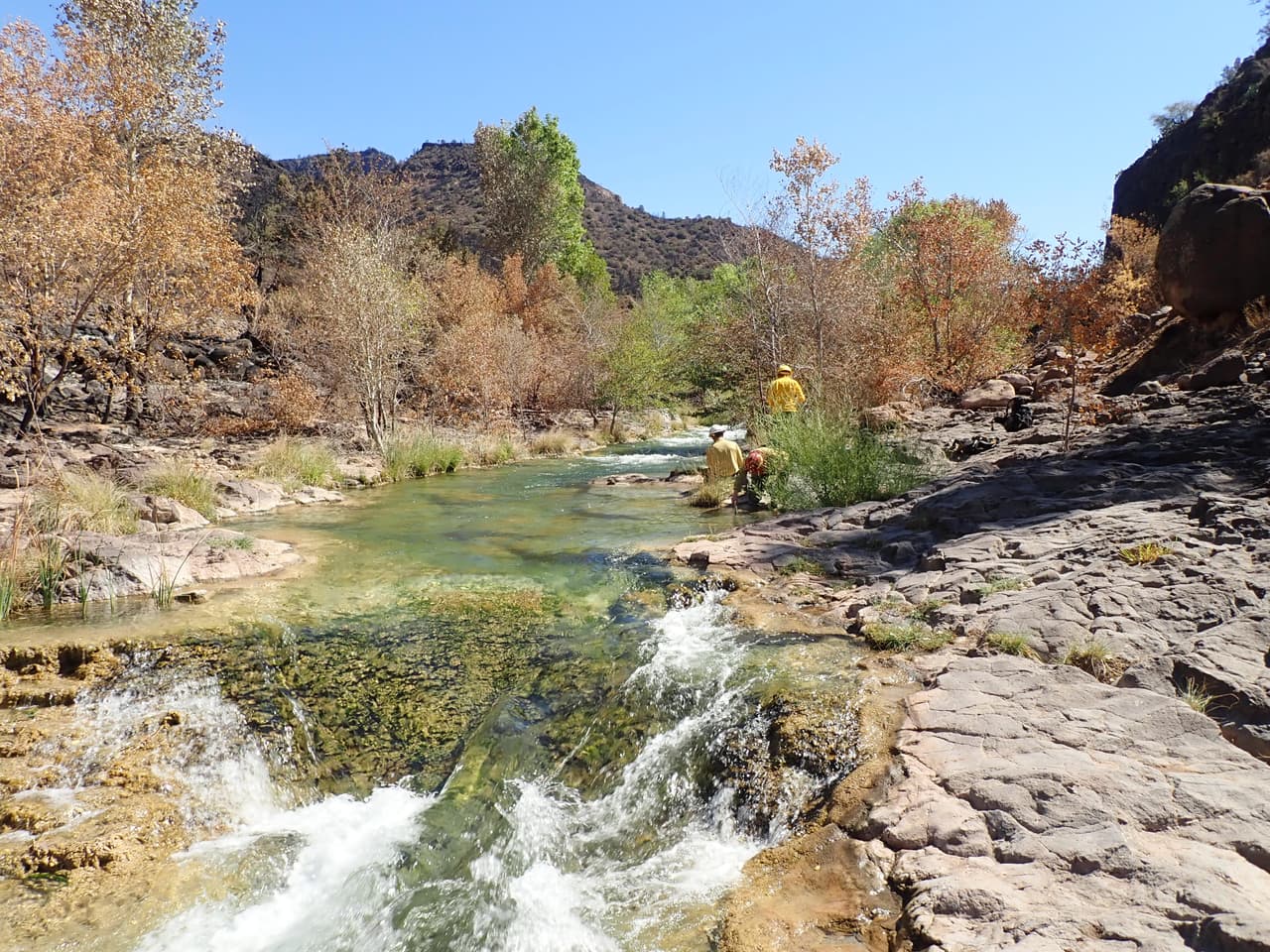 “El área de cierre será monitoreada de cerca”, indican funcionarios del Bosque Nacional Coconino.