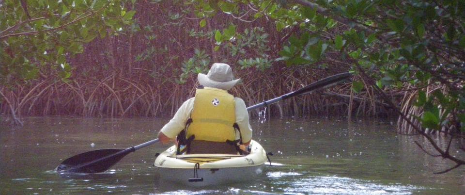Curry Hammock State Park