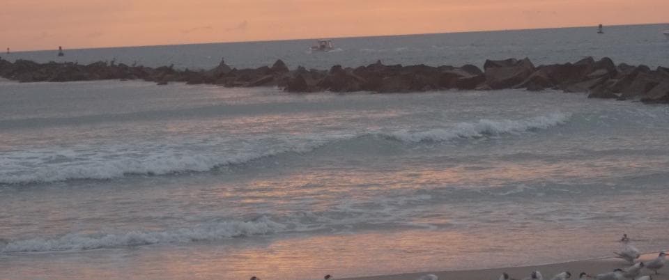 Fort Pierce Inlet State Park