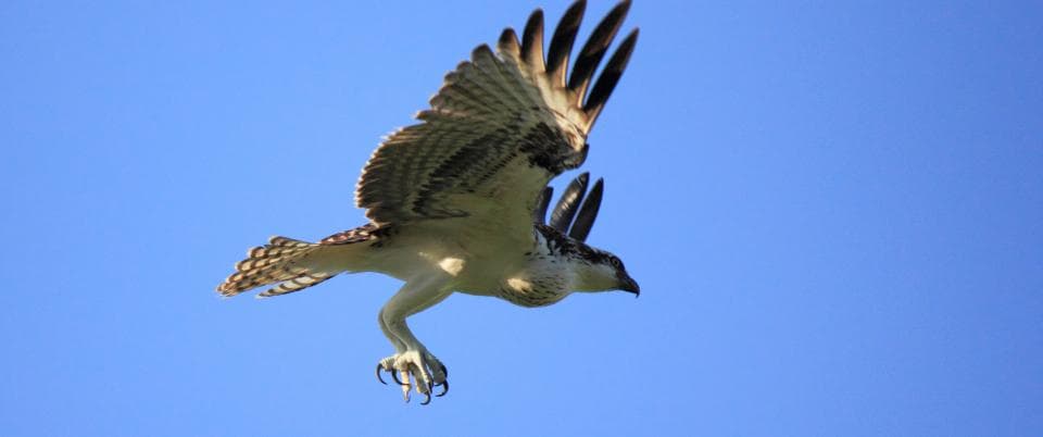 Fort Zachary Taylor Historic State Park