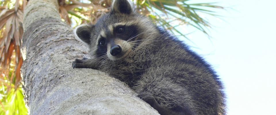 Hugh Taylor Birch State Park