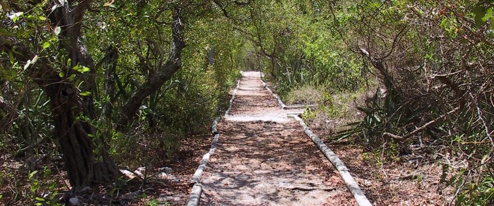 Indian Key Historic State Park