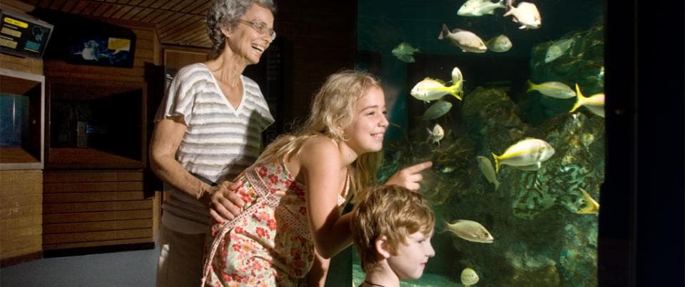 John Pennekamp Coral Reef State Park