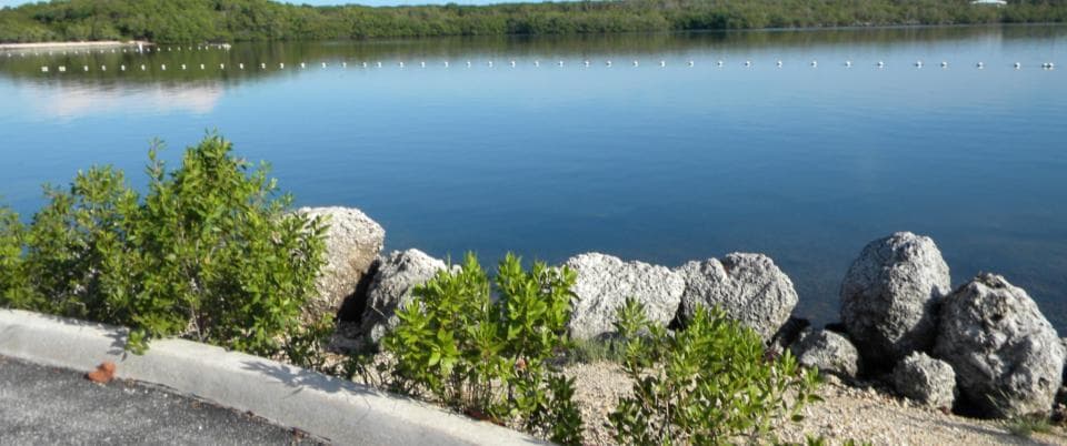 John Pennekamp Coral Reef State Park