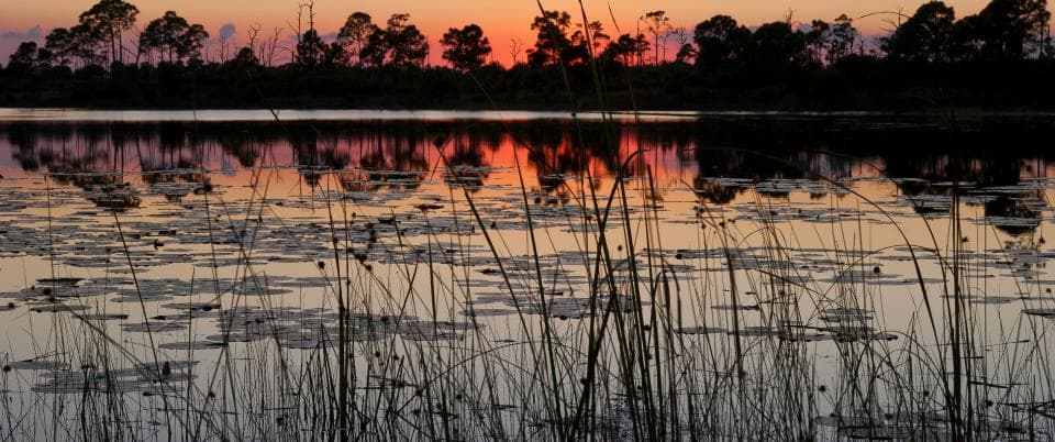 Jonathan Dickison State Park