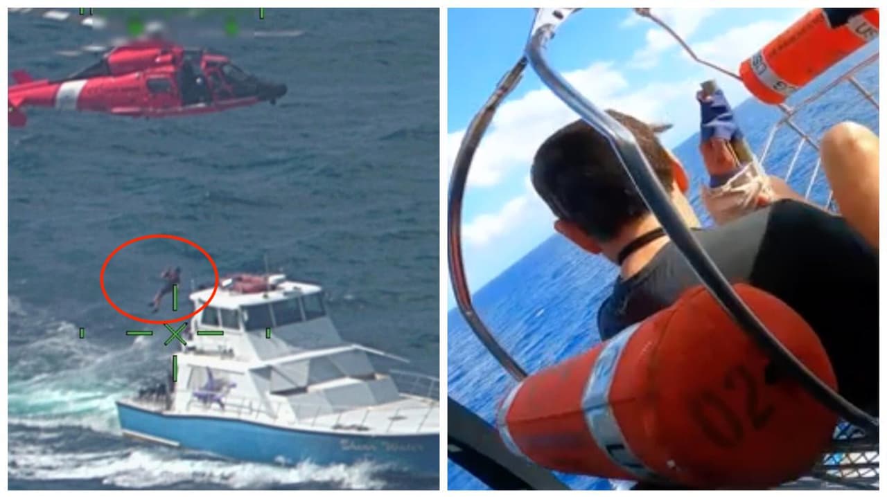 “Una situación verdaderamente aterradora”: guardacostas rescatan a un hombre mordido por un tiburón