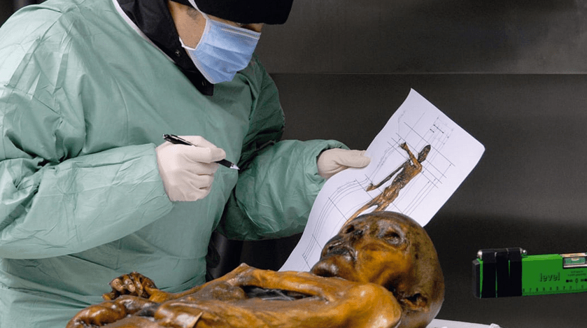 Ötzi se desangró y murió poco después de que la flecha que le dispararon perforó una arteria vital