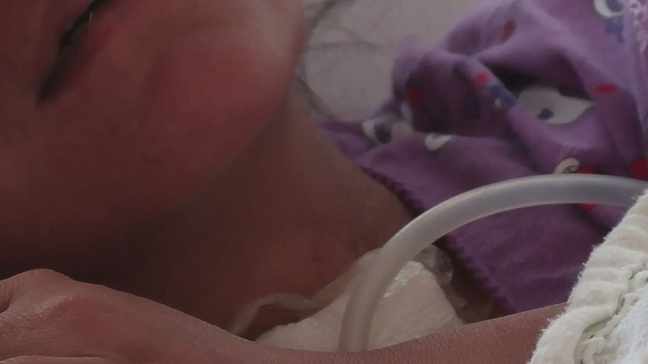 “Nos dieron dos días”: una familia guatemalteca habla sobre el accidente que una madre sobrevivió de milagro