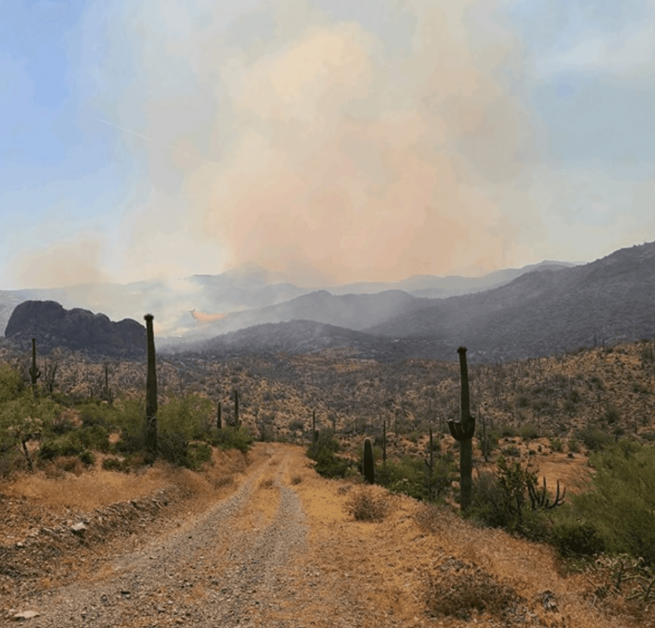 El incendio Sawtooth, causado por un rayo, ha quemado cerca 21,000 acres y ha sido contenido un 8% hasta el 2 de junio.
<br>