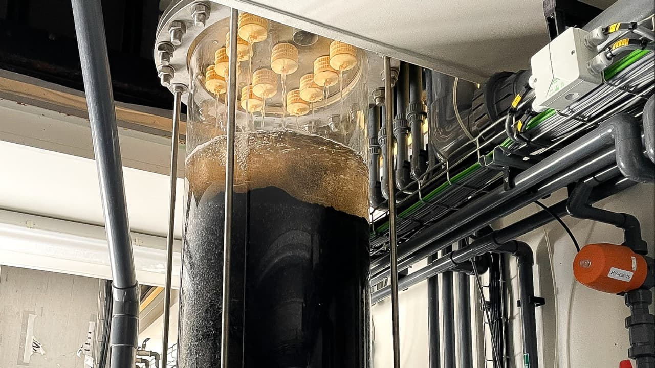 Con novedosa tecnología, Tampa eliminará químicos del agua potable