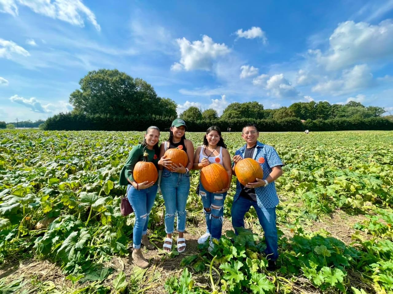 <b><a href="https://www.carriganfarms.com/">Carrigan Farms (Mooresville)</a></b>. De propiedad y operación familiar, Carrigan Farms en Mooresville ha estado en el negocio de huertos de calabazas desde 1975. Todos los años, durante el mes de octubre, adultos y niños vienen a la granja para viajar en su paseo en carruaje conducido por un tractor hasta el huerto de calabazas. donde pueden salir y elegir su propia calabaza de las miles que crecen en el campo.
<br>
<br>
<b><a href="https://g.page/carriganfarms?share">Cómo llegar</a></b>