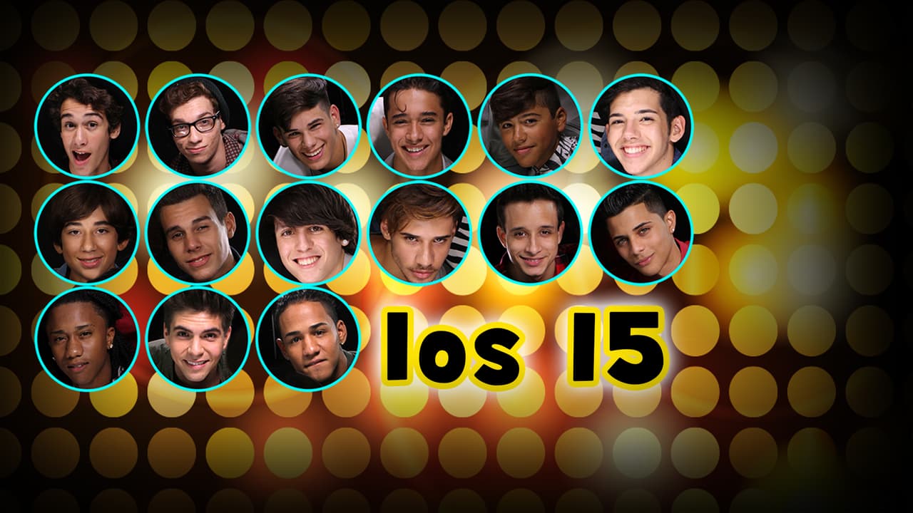 Estos son los 15 chicos que pasan a la siguiente fase de La Banda. ¿Cuál de ellos es tu favorito?