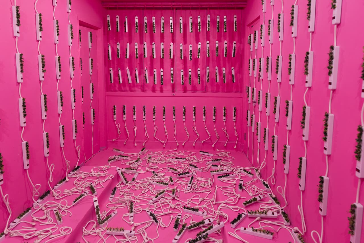 Ondrea Boggs (izquierda) y Sharon Maxwell se toman una selfie con "We See You Too", una instalación de los artistas Alon Cohen Raz y Miran Nudell, durante la exposición "Hospital of Emotions" en un antiguo edificio hospitalario de Los Ángeles, el miércoles 22 de julio de 2026. (Foto AP/Jae C. Hong)