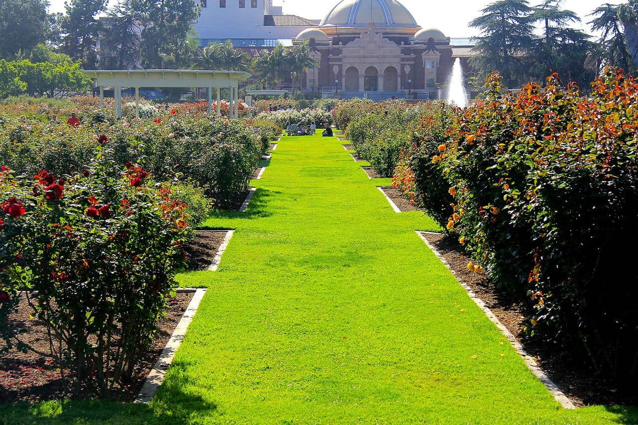 Planifica tu visita a este hermoso lugar y si buscas otras opciones en Los Ángeles, has click en nuestra
<a href="https://www.univision.com/local/los-angeles-kmex/los-angeles-jardines-primavera-fotos" target="_blank">lista de jardines secretos</a> en la ciudad.