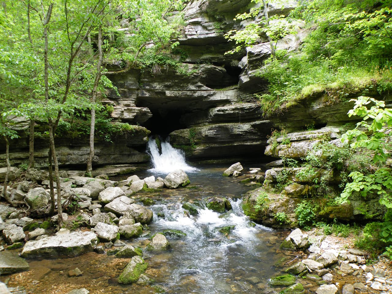 <b>Arkansas. </b>
<br>
<br>Cavernas y cascadas en el área recreativa de Blanchard Springs. El sistema de cascadas forma piscinas naturales con aguas del North Sylamore Creek. Puede alcanzar profundidades de hasta 12 pies.