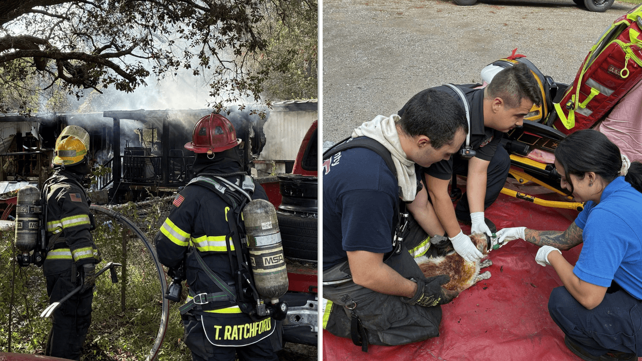 Dos heridos y 17 mascotas muertas en incendio de vivienda móvil en Homosassa