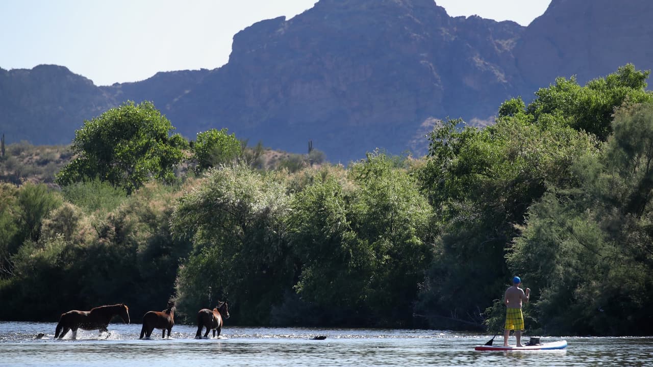 Muere un hombre en Arizona que cayó de un Kayak en Salt River
