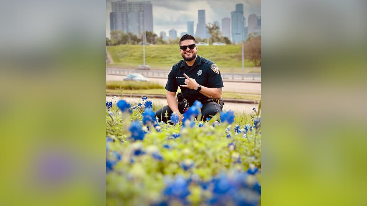 Cuando llega la primavera los campos
<b>en el estado de Texas se cubre con esas flores silvestres</b> de colores vivos.