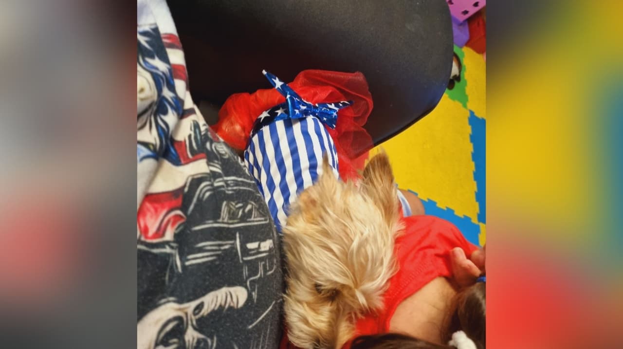 Nuria Núñez envía la foto de Luna, su perrita, que está vestida para celebrar el 4 de Julio.