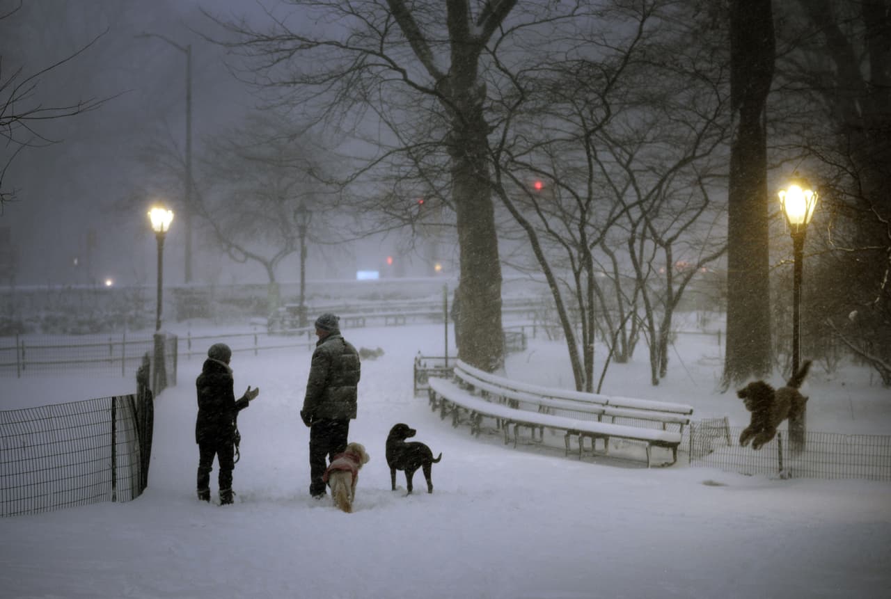 Estas son imágenes del sábado en la mañana en Central Park y zonas aledañas.