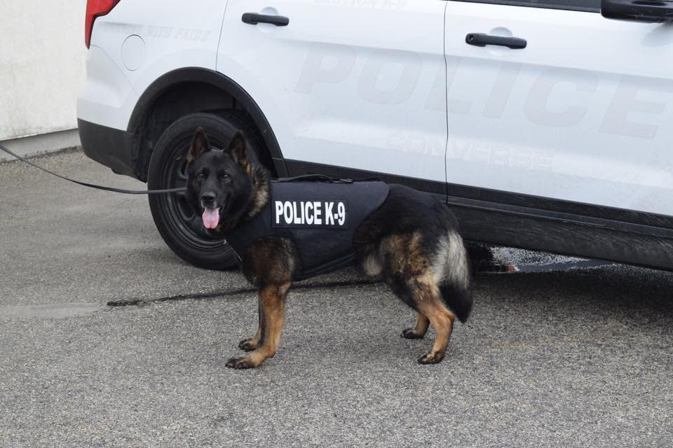 Converse police department protects four legged officers with bullet proof vests