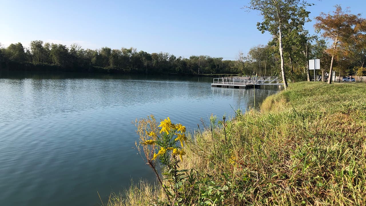 Hay espacios dentro del parque donde se pueden hacer ejercicios, picnics y barbacoas.