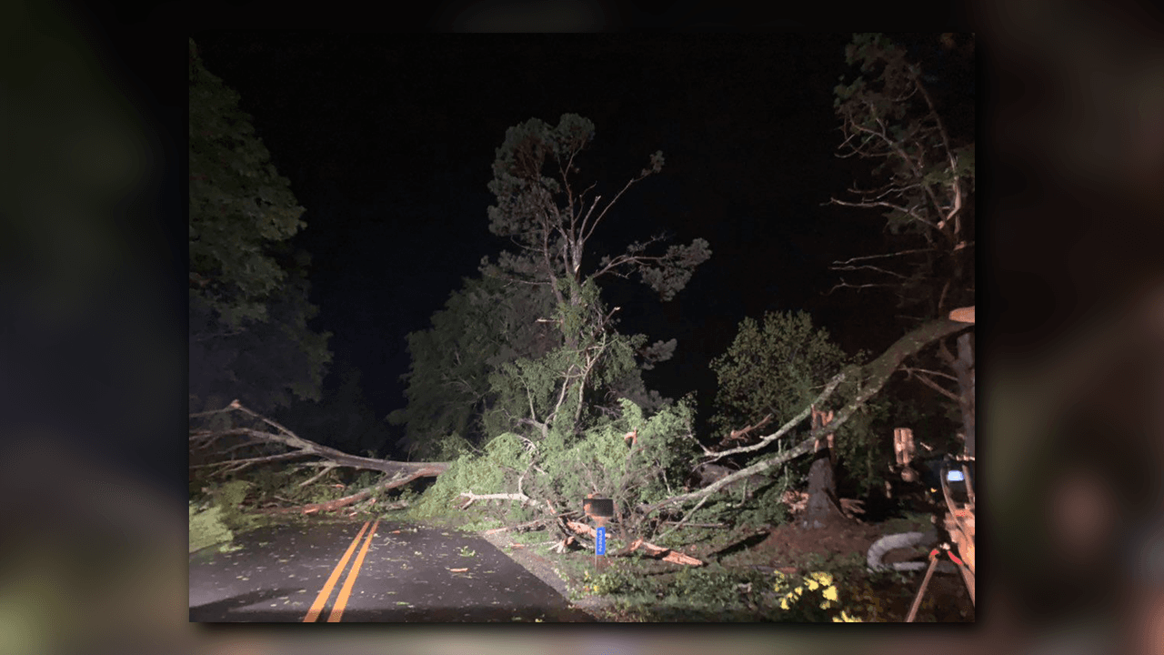 Los fuertes vientos derribaron árboles y tendidos eléctricos.